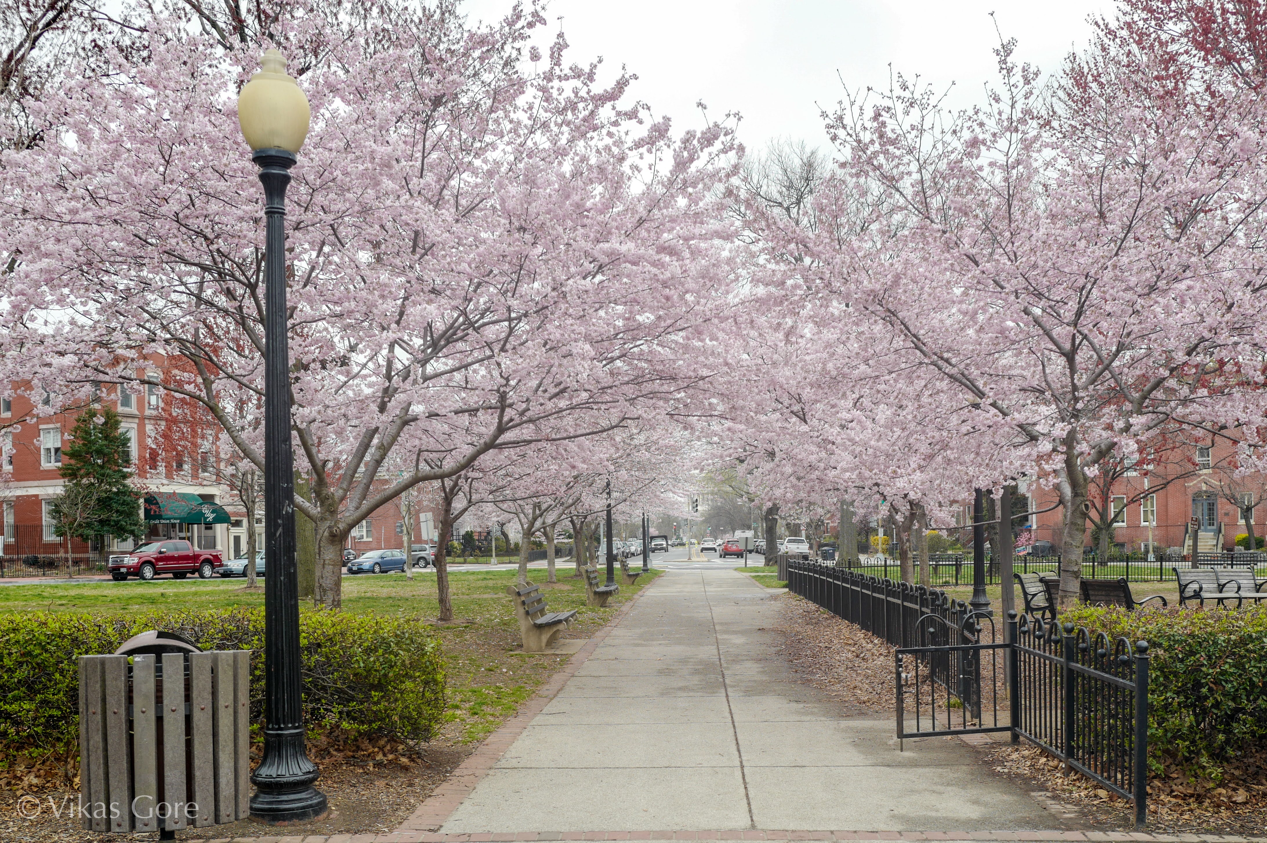 Stanton Park, one block away